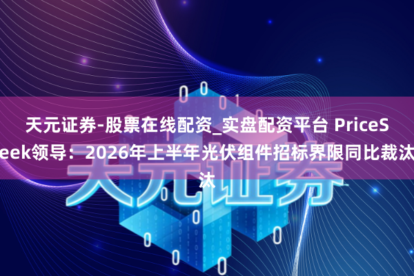 天元证券-股票在线配资_实盘配资平台 PriceSeek领导：2026年上半年光伏组件招标界限同比裁汰
