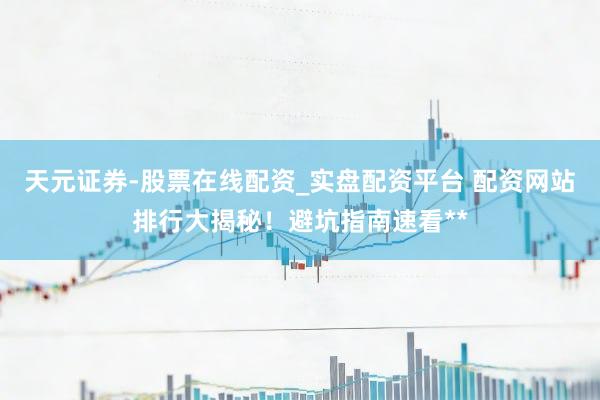 天元证券-股票在线配资_实盘配资平台 配资网站排行大揭秘！避坑指南速看**